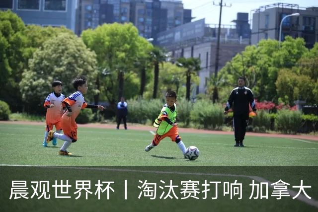 晨观世界杯丨淘汰赛打响 加拿大“绝杀”首进16强