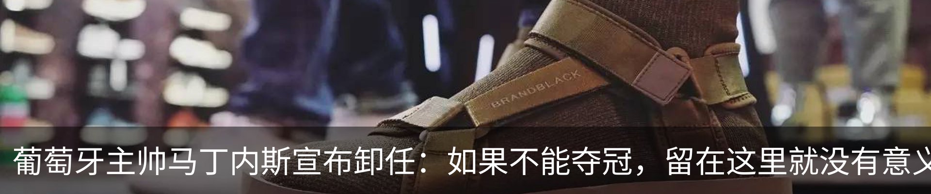 最新动态