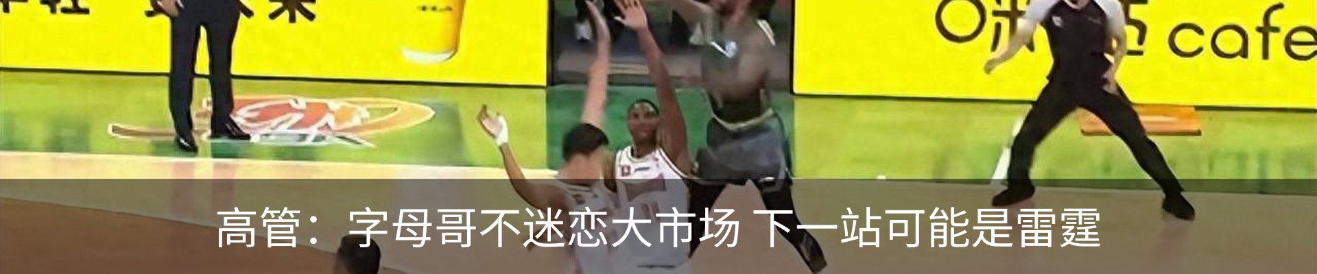 最新动态