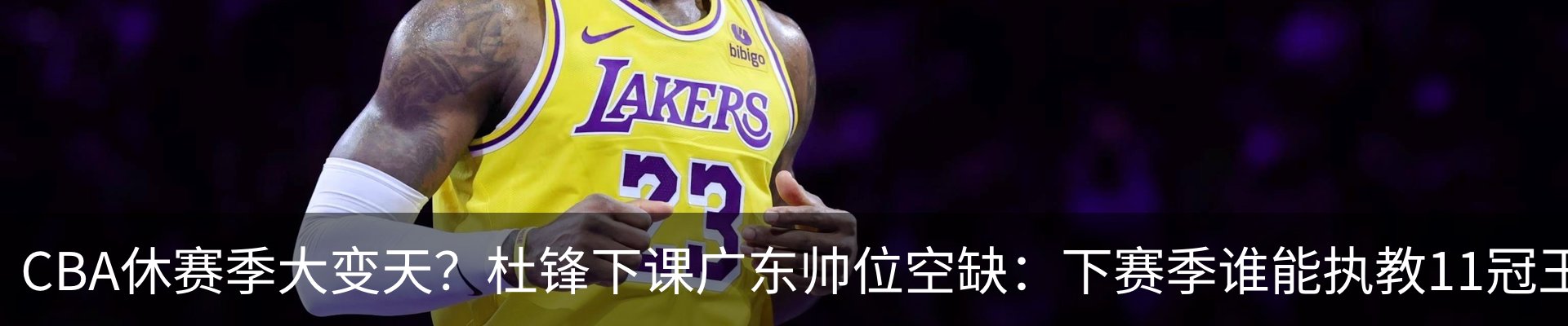 最新动态